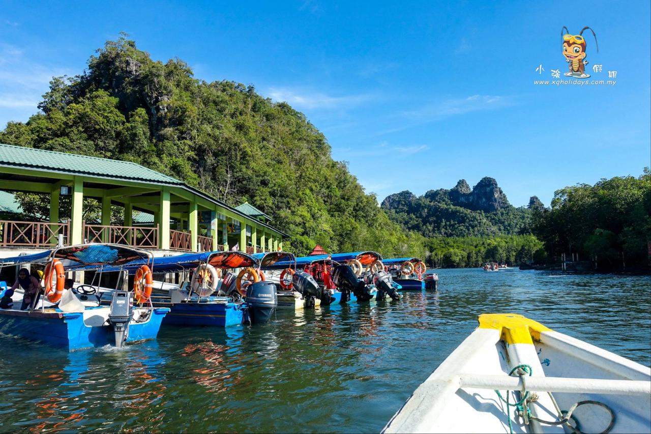 Jelajahi Ekosistem Mangrove Langkawi yang Menakjubkan dengan Mangrove Tour Langkawi